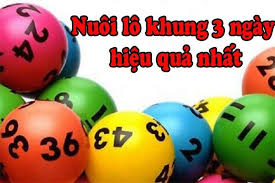 Bật mí bí quyết để nuôi lô khung 247 hiệu quả?