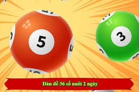 Các bước nuôi dàn đề 36 số 2 khung ngày hiệu quả