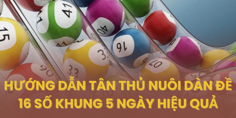 Cách lập dàn đề 16 số khung 5 ngày hiệu quả từ chuyên gia