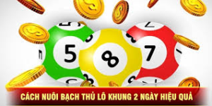 Một số cách soi cầu nuôi bạch thủ lô vào khung 2 ngày rồng bạch kim chính xác
