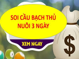 Nuôi bạch thủ lô khung 3 ngày đẹp nhất chuẩn 100