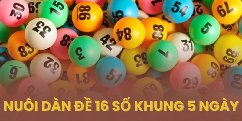 Nuôi dàn đề 16 số khung 5 ngày bất tử miễn phí hôm nay