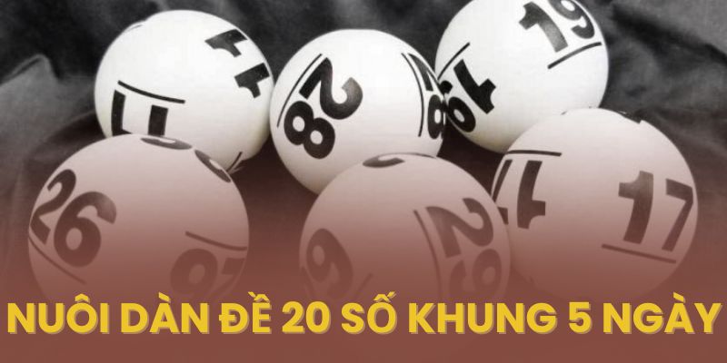 Nuôi dàn đề 20 số khung 5 ngày bất tử rồng bạch kim