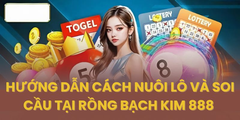 Hướng dẫn cách nuôi lô đề rồng bạch kim 888 hiệu quả