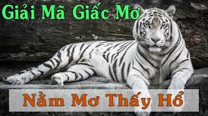 Mơ thấy con hổ đánh số gì - Chuyên gia giải mã giấc mơ