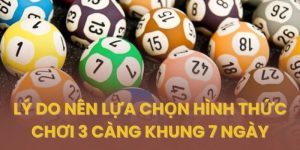Những lý do khiến người chơi ưa chuộng nuôi 3 càng khung 7 ngày