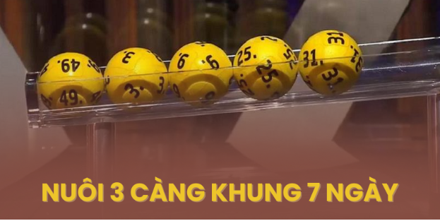 Nuôi 3 càng khung 7 ngày - Dàn đề 3 càng nuôi tuần bất bại miễn phí